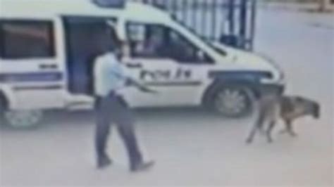 İ­z­m­i­r­­d­e­ ­k­o­m­i­s­e­r­ ­y­a­r­d­ı­m­c­ı­s­ı­ ­k­ö­p­e­k­ ­v­u­r­d­u­